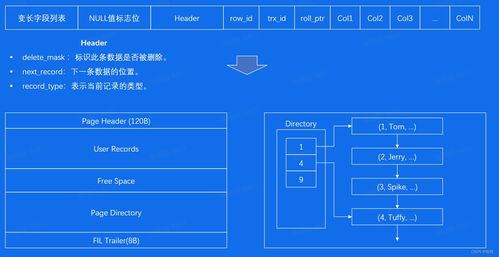 數(shù)據(jù)庫存儲 現(xiàn)代數(shù)據(jù)處理與存儲服務(wù)的核心支柱