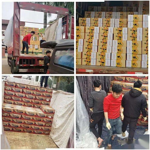 同舟共冀，共同戰(zhàn)“疫”——河北博泉集團(tuán)捐贈(zèng)32噸澄邁農(nóng)產(chǎn)品支援抗疫一線