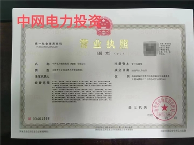 海南投資公司注冊中網(wǎng)電力投資集團海南轉(zhuǎn)讓